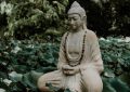 20 significati simbolici del sognare il buddismo