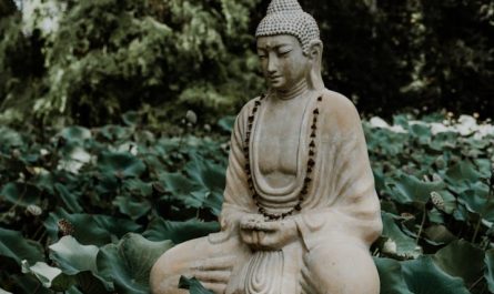 20 significati simbolici del sognare il buddismo
