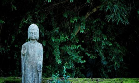 20 significati simbolici del sognare statue di Buddha