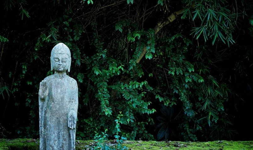 20 significati simbolici del sognare statue di Buddha