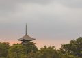 20 significati simbolici del sognare una torre