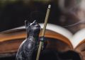 22 Significati Simbolici del Sognare Incenso