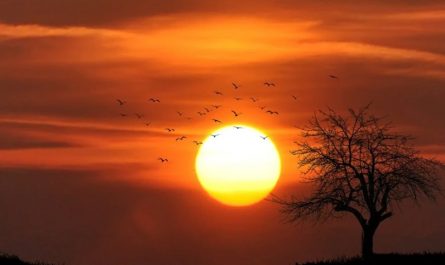 20 significati simbolici del sognare di guardare l'alba