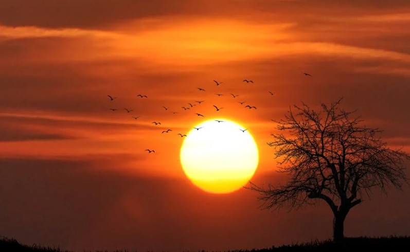 20 significati simbolici del sognare di guardare l'alba