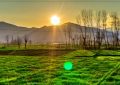 15 significati simbolici del sognare foto dell'alba