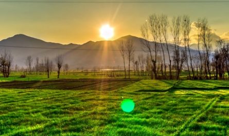 15 significati simbolici del sognare foto dell'alba