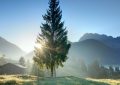 18 Significati Simbolici del Sognare il Mattino