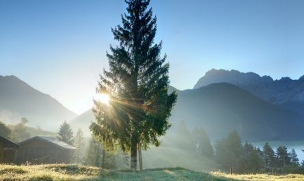 18 Significati Simbolici del Sognare il Mattino