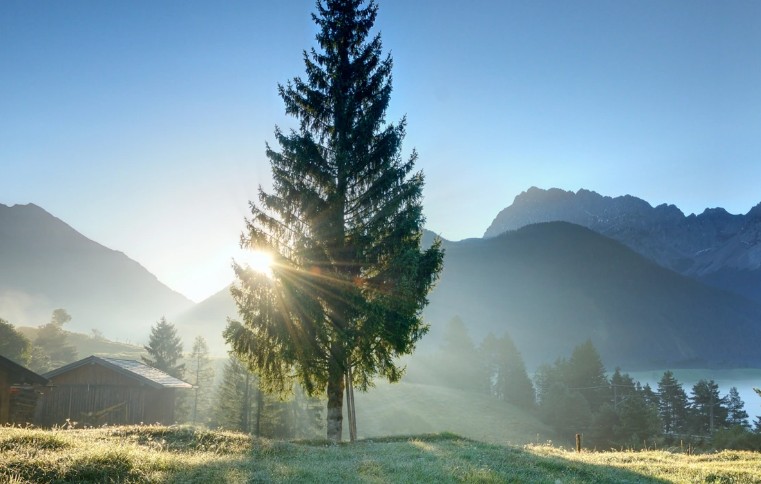 18 Significati Simbolici del Sognare il Mattino